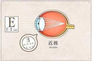 开云官网入口网页登录网址截图0